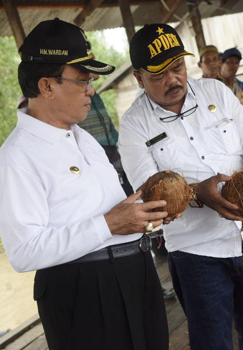 Bupati Inhil Tinjau Tempat Pengumpul Kelapa